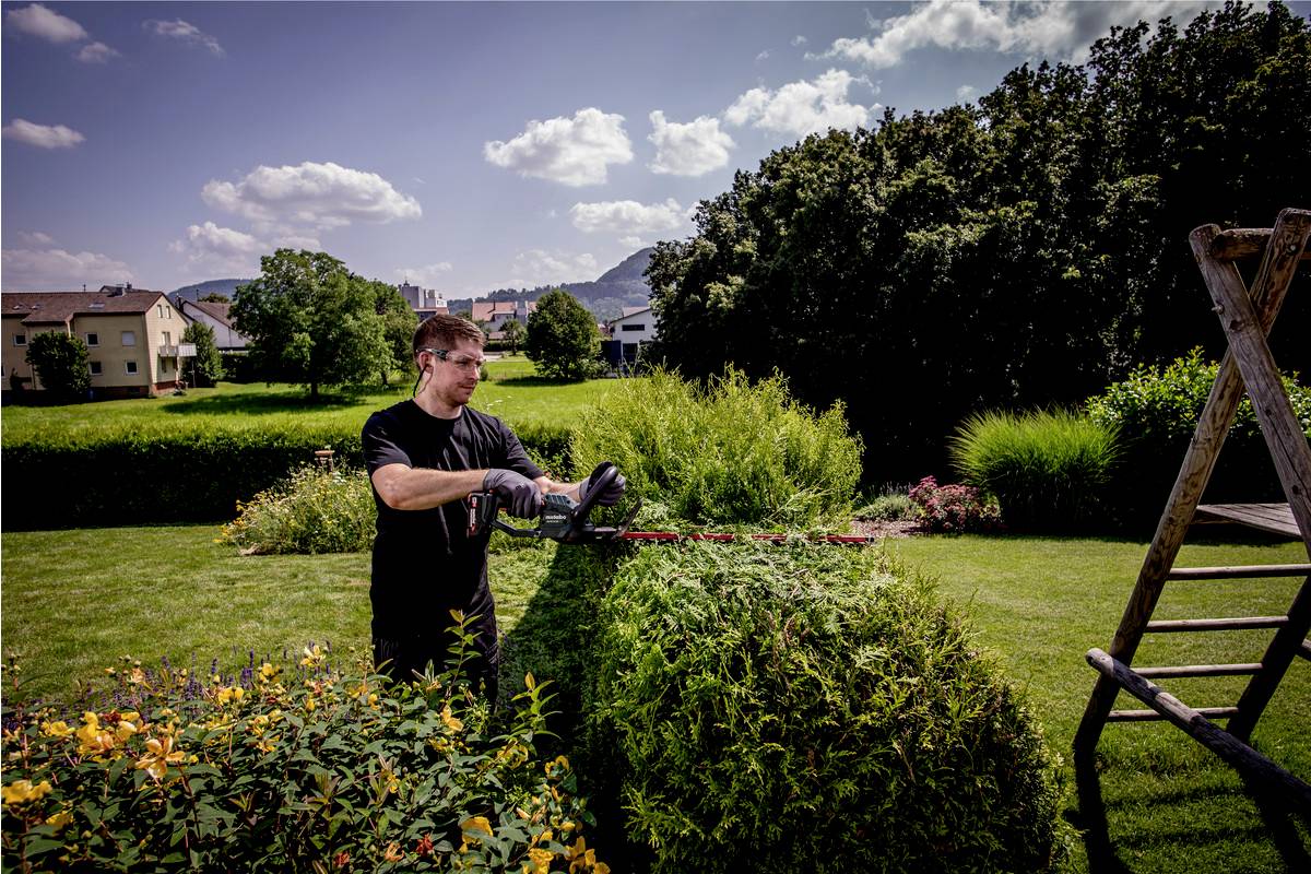 A person is trimming a hedge in a sunny garden. Trees and houses can be seen in the background.