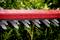 A red hedge trimmer cuts green branches of a hedge. The black blades are visible and show the cutting process.