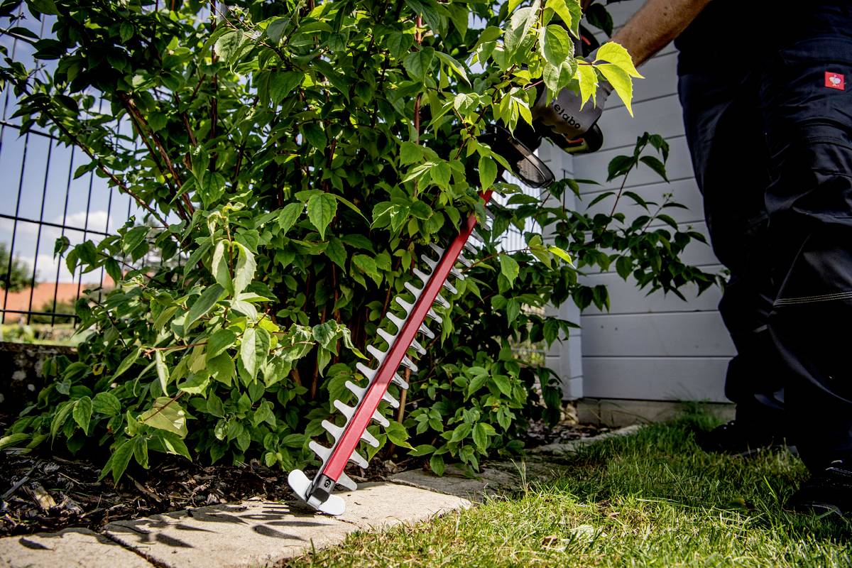 Someone is trimming a bush in the garden with an electric hedge trimmer. The trimmer is close to the branches and cutting precisely.