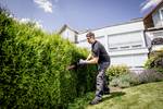 HS 18 LTX 55 rechargeable battery hedge trimmer