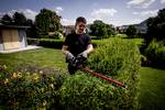 HS 18 LTX 55 rechargeable battery hedge trimmer