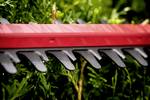 HS 18 LTX 55 rechargeable battery hedge trimmer