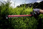 HS 18 LTX 55 rechargeable battery hedge trimmer
