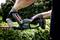 A person wearing gloves is trimming a hedge with a Metabo hedge trimmer outdoors.
