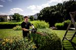 HS 18 LTX 45 rechargeable battery hedge trimmer