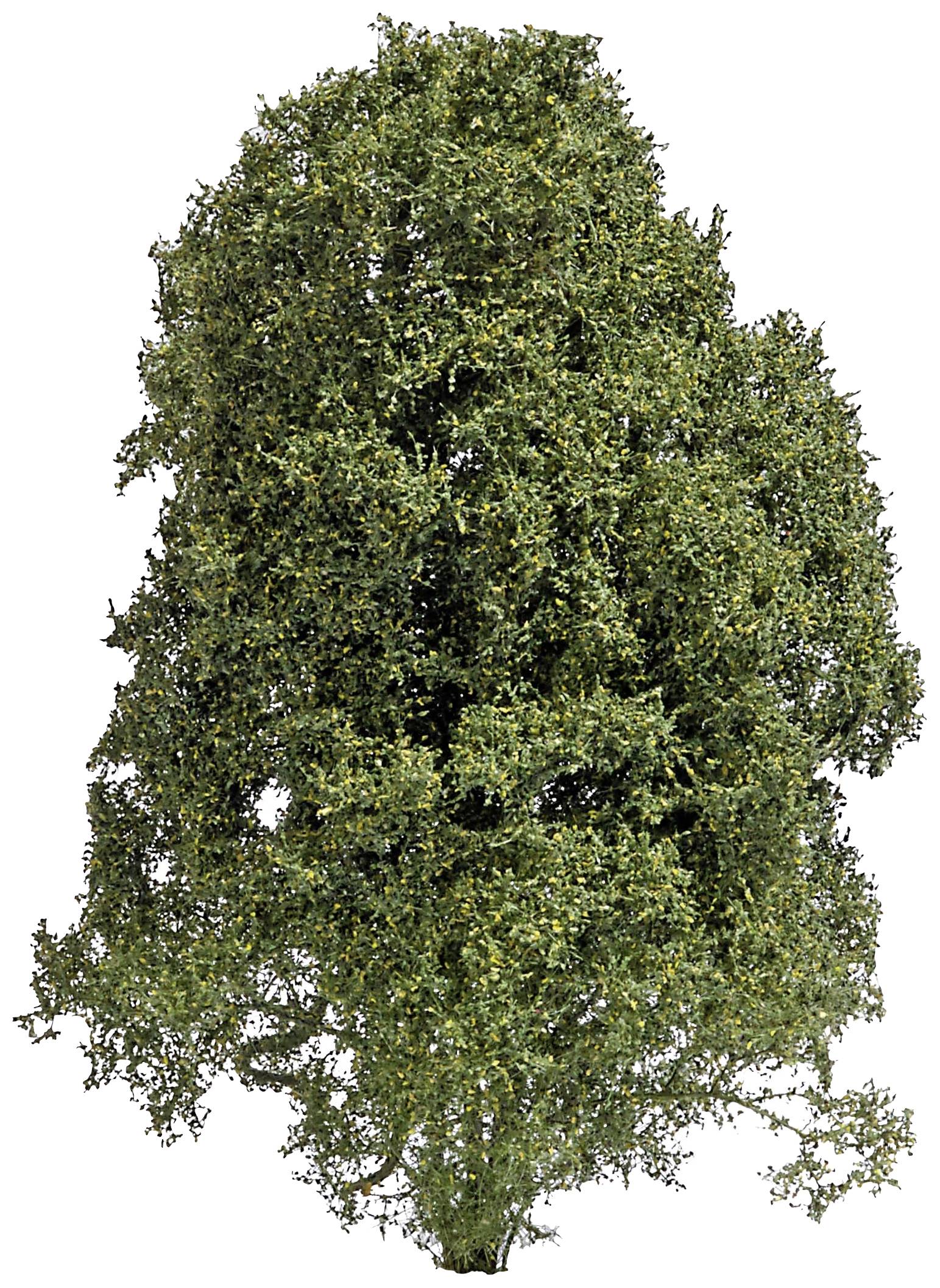 Busch 3589 Shrub Summer Green