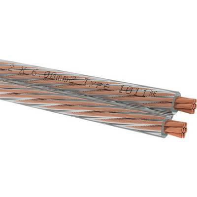 Two electrical cables with copper wires, twisted in a spiral configuration, labelled 'ACSR/TW Type 16/19/1'. Primary cable type for electricity transmission.