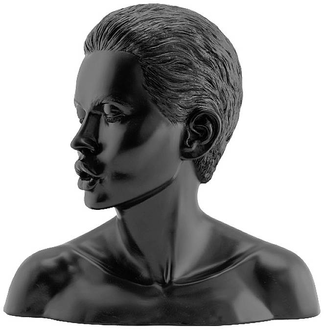 A stylised black bust depicts a head with a sideways gaze, short hair, smooth surface; no further details.