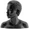 A stylised black bust depicts a head with a sideways gaze, short hair, smooth surface; no further details.