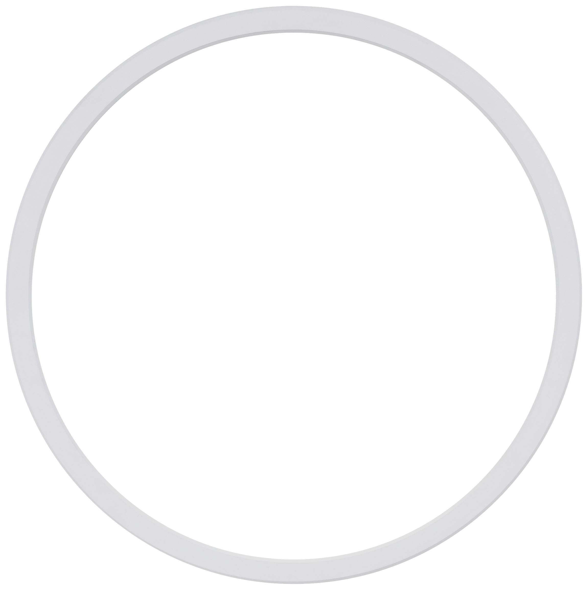 Simple white ring on a white background.