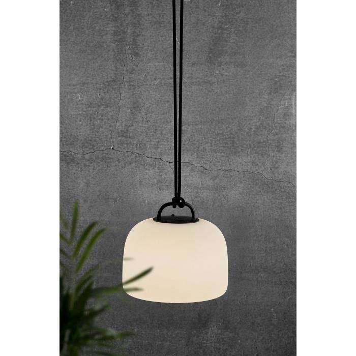 A contemporary pendant light with a matt black cable against a grey wall. In the foreground, blurred green plant leaves are visible.
