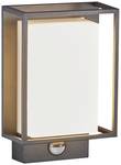Outdoor wall lamp Nestor