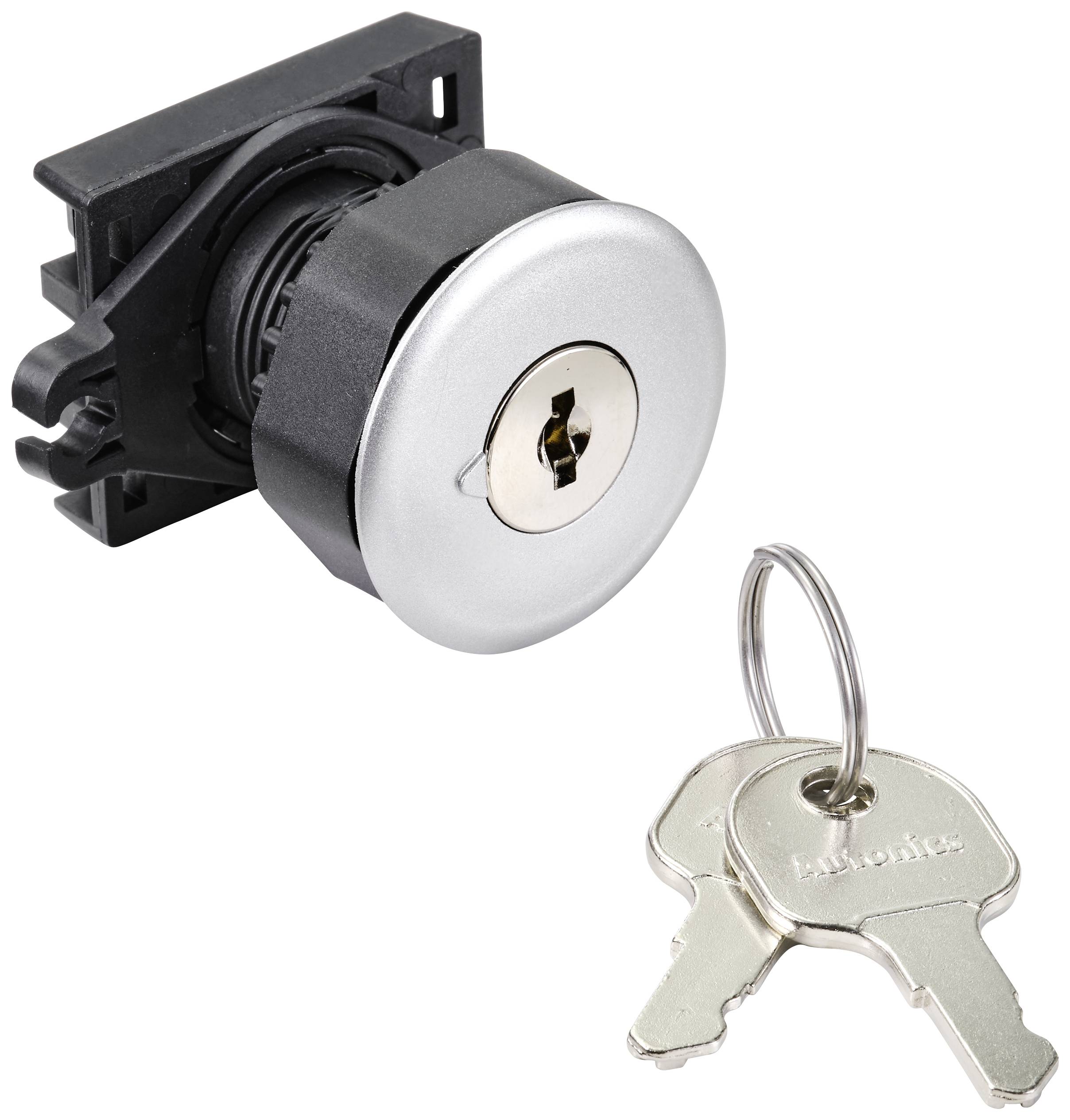 Lock cylinder with two keys. The cylinder is silver and cylindrical, the keys are attached to the key ring.