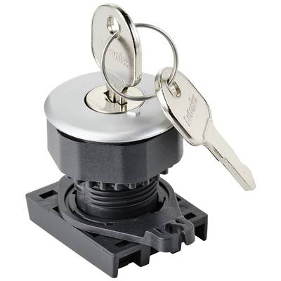 A silver key switch with two inserted keys, mounted on a black base.