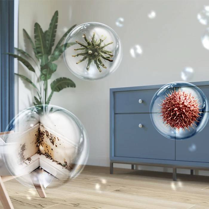 Creative illustration showing three bacterial species in an air bubble in a living room with mould on the wall, a plant, and a chest of drawers.
