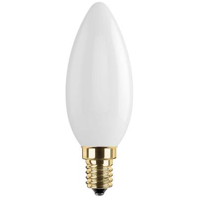Segula 55202 LED (monochrome)  E14 Candle shape 3.2 W = 22 W Warm white (Ø x L) 35 mm x 100 mm  1 pc(s)