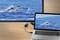 Laptop screen shows dolphins in the sea; external monitor duplicates the image. Both screens are connected via a VGA cable.