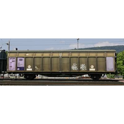 A brown goods wagon is standing on railway tracks. Its sides are decorated with graffiti. Trees and hills are visible in the background.