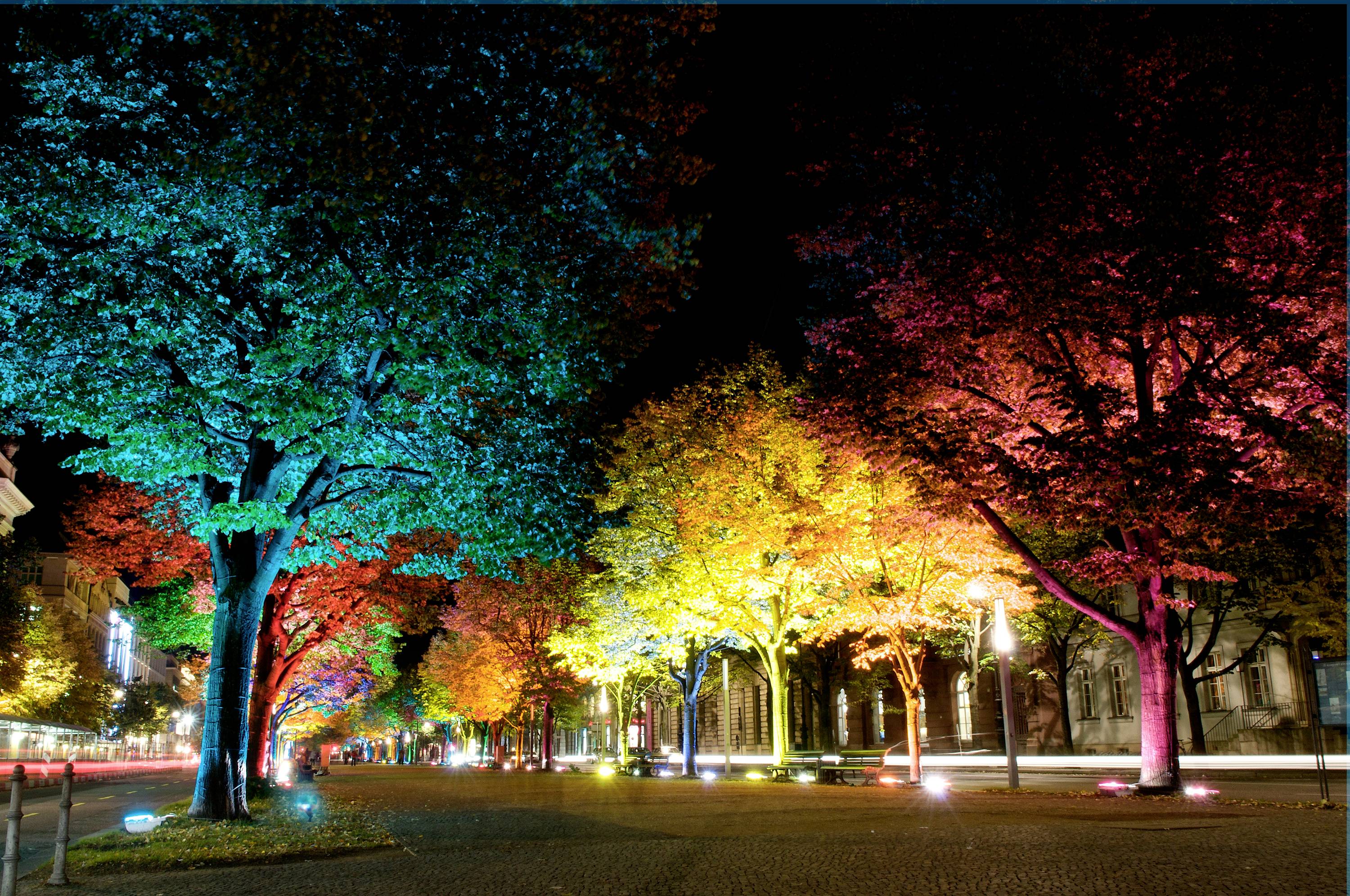 At night, an illuminated avenue lined with trees in various colours. The lights glow in blue, yellow, red, and pink along the path.