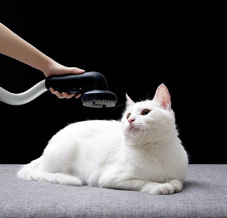 Roidmi X30 Pro XCQ28RM Handheld battery vacuum cleaner 435 W Incl. display, App-controlled, Bagless-11