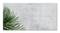 Restful motif with green palm leaves against a plain, grey background. Minimalist and soothing scenery.