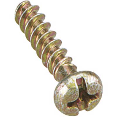 A golden-coated metal Phillips head screw displayed against a white background.