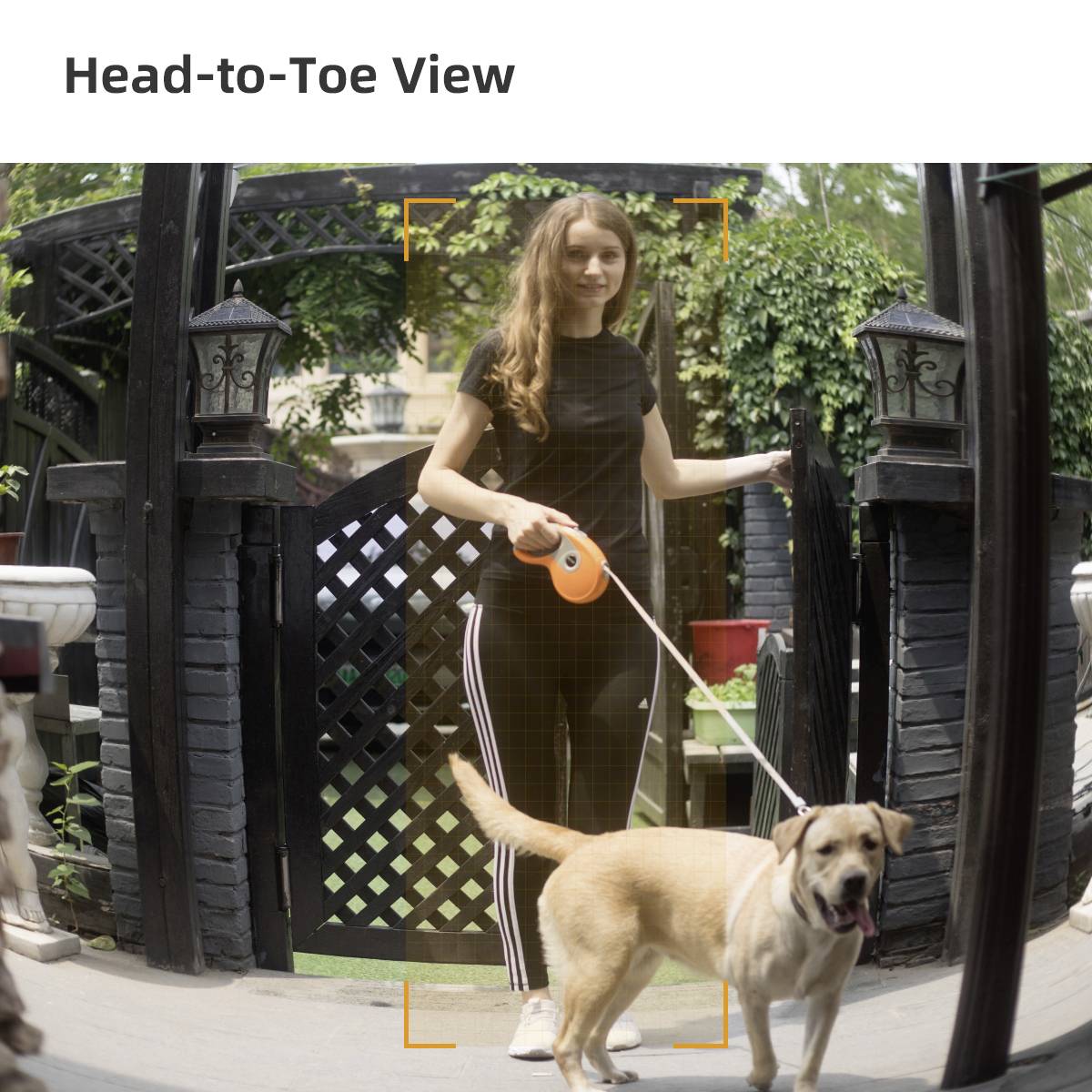 Woman walking a dog on a lead through a garden with a wooden slatted fence and plants in the background.