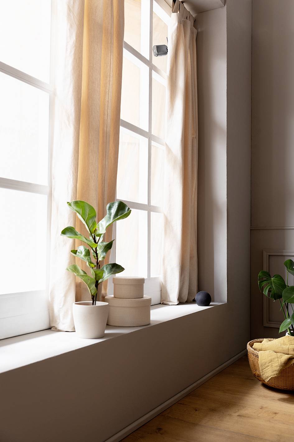 A bright room with a large window, light curtains, a potted plant and a basket. Natural light streams in.