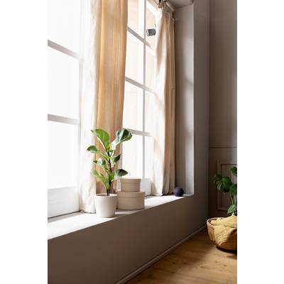 A bright room with a large window, light curtains, a potted plant and a basket. Natural light streams in.