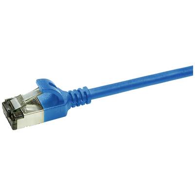 A blue Ethernet cable with an RJ45 plug.