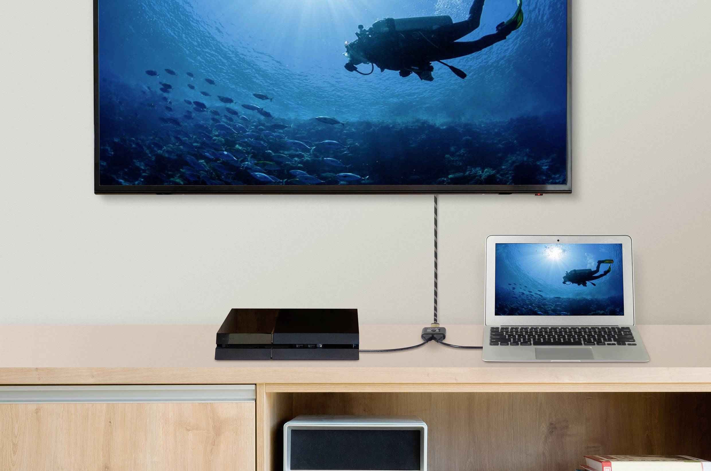A television displays an underwater photograph of a diver. Beneath it sits a laptop showing the same image, connected by a cable.