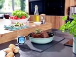 Digital roast and BBQ thermometer
