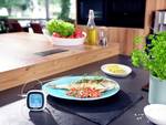 Digital roast and BBQ thermometer