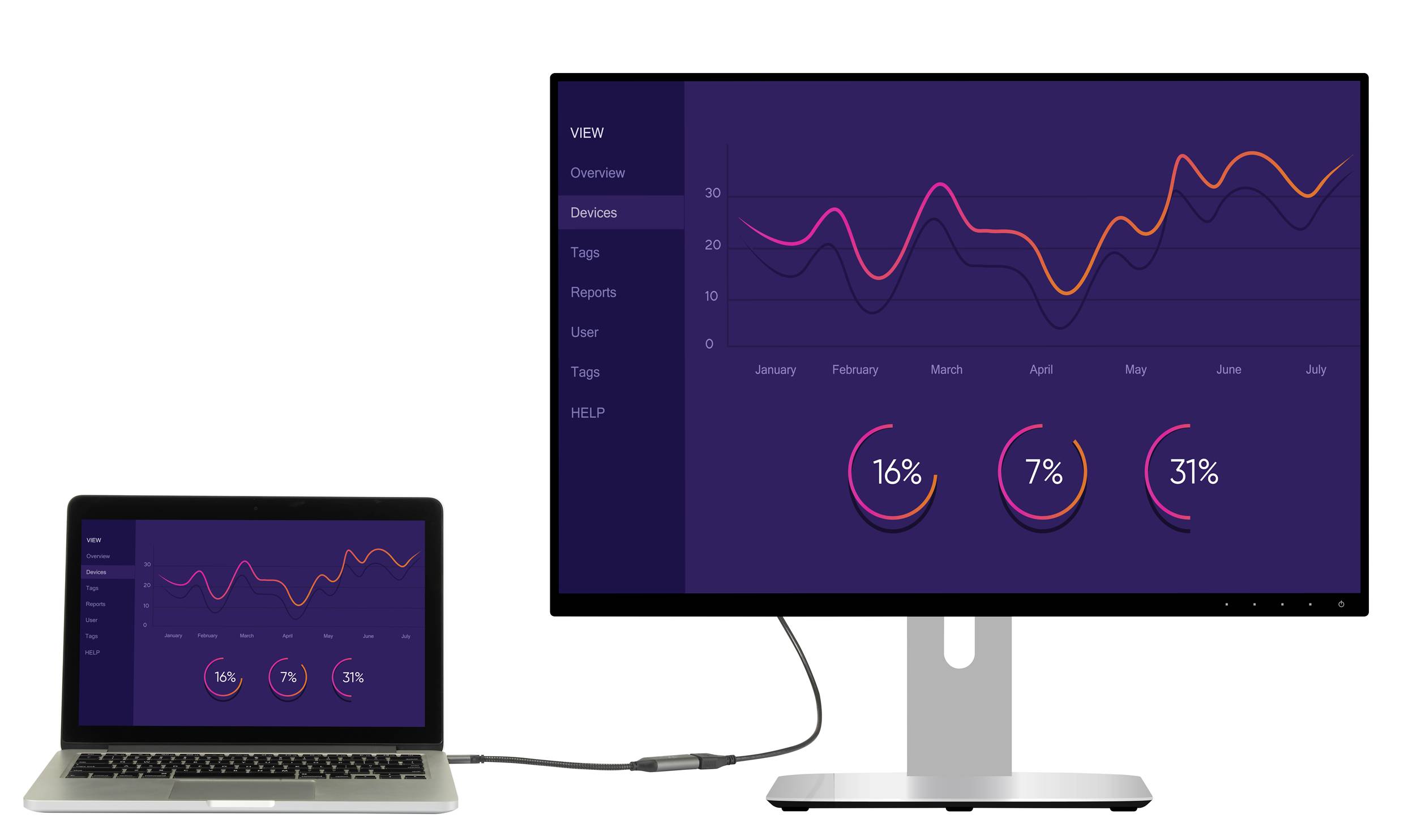 A laptop is connected to a monitor. Identical diagrams are displayed on both screens: a line graph with monthly breakdown and three pie charts showing 16%, 7%, and 31%.