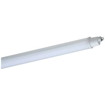 Schuch Primo 107 15L60 XR LED wet room light LED (monochrome) Built-in LED 42 W Neutral white