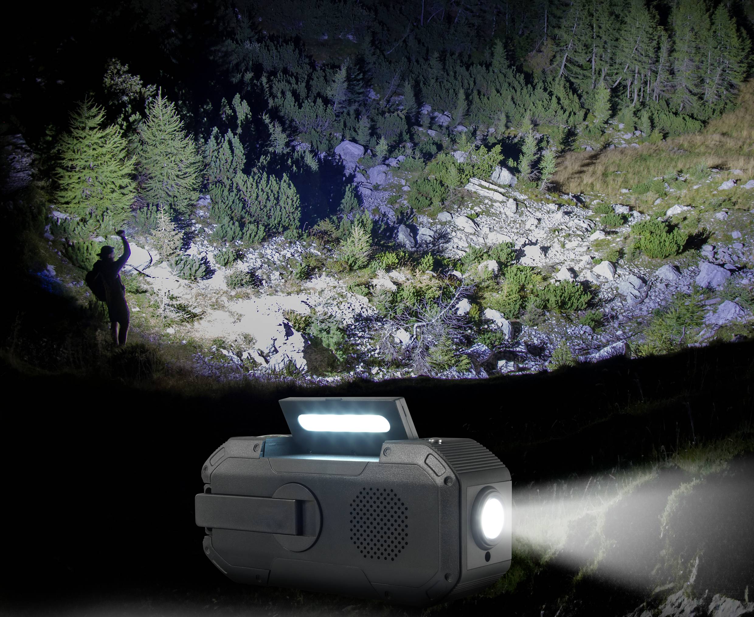 A torch illuminates a wooded slope at night, with an animal standing at the left edge of the scene.