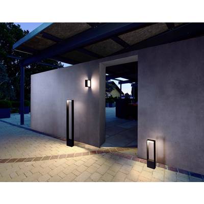 Modern outdoor lighting creates atmospheric accents against a grey concrete wall and a paved path at dusk.