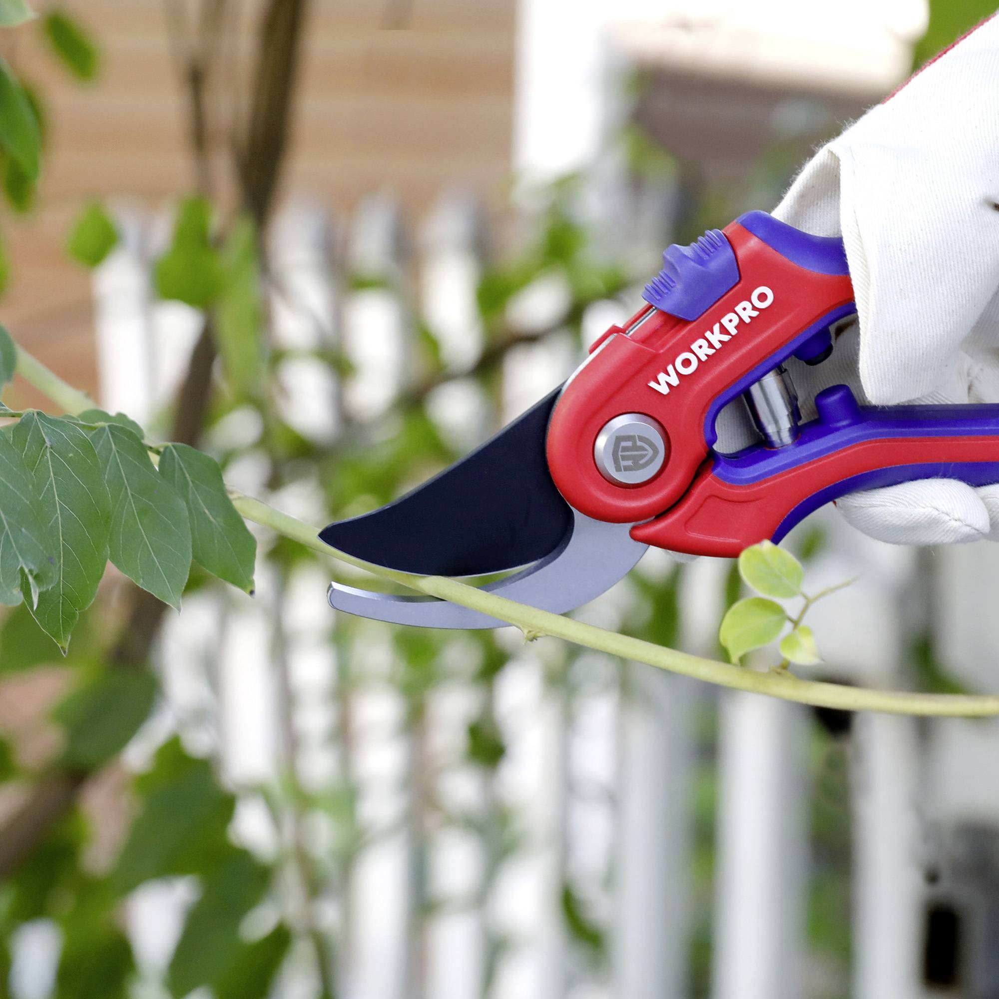 A pair of secateurs cuts a thin green branch. The secateurs have red handles and are being held by a person wearing white gloves.