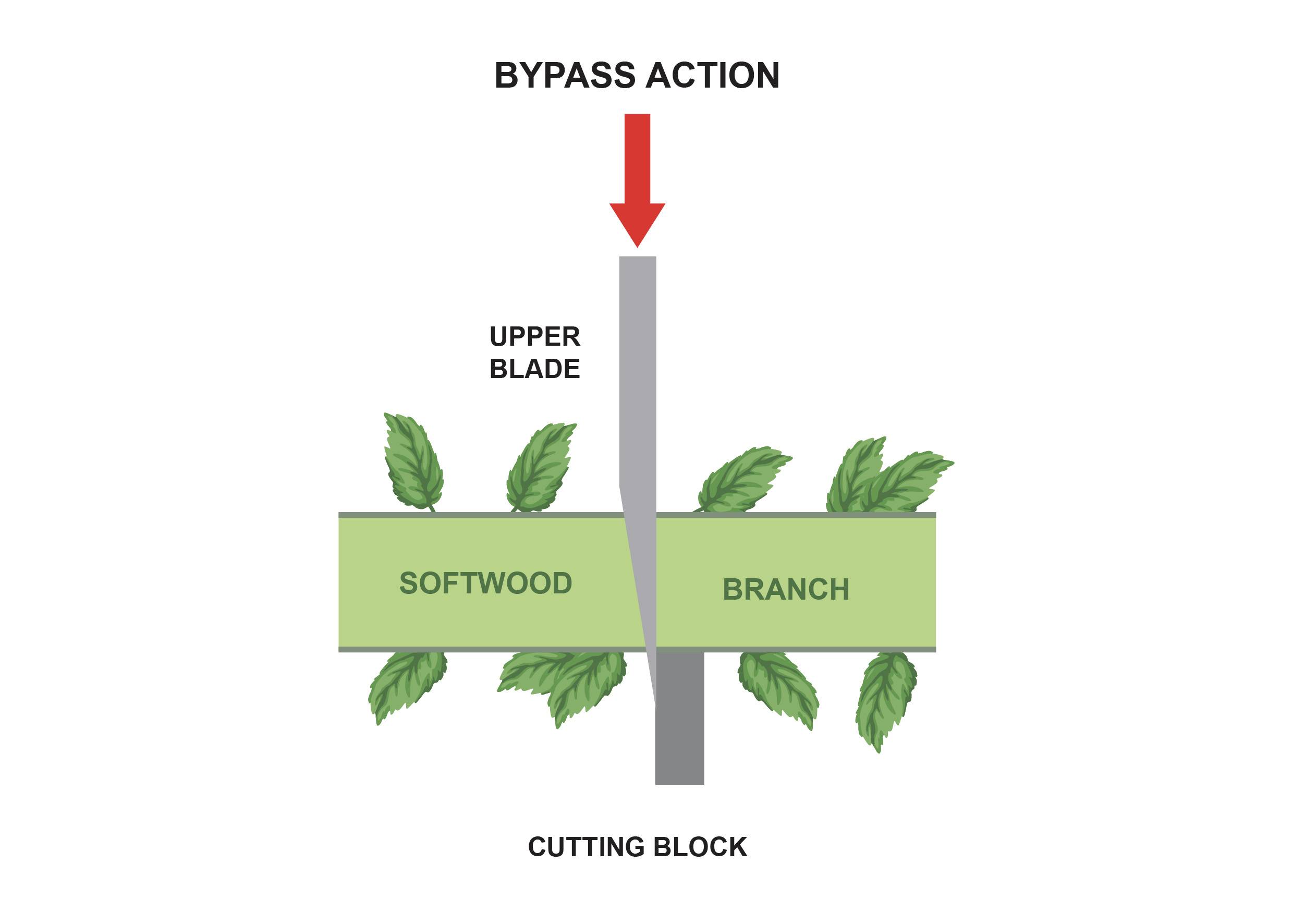 'Diagram shows bypass cutting action. Upper blade cuts softwood branch. Arrow pointing downwards indicates cutting movement.'