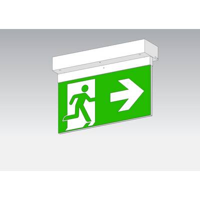 Green emergency exit sign with a person running to the right, indicating the direction of the exit.