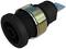 Black and gold electric button with metal casing and blue connection tag, potentially for industrial applications.