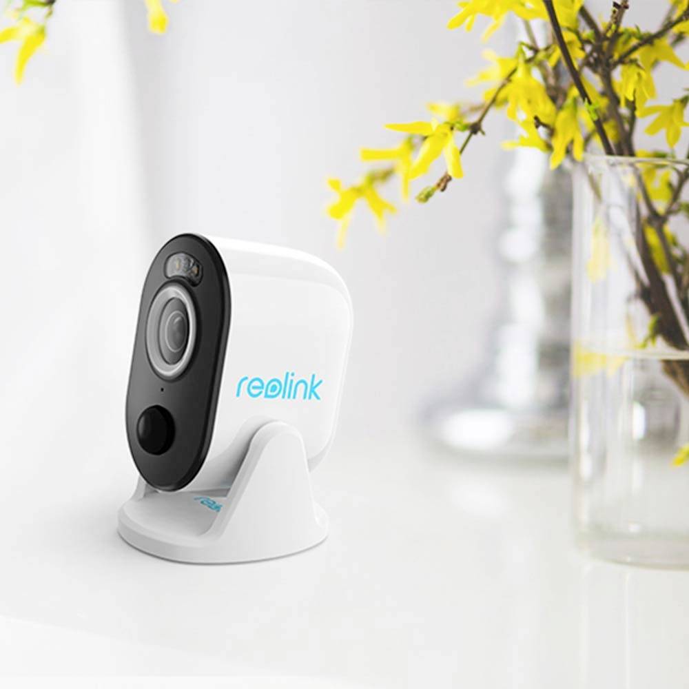 Security camera on a table, flowering branch in the background.