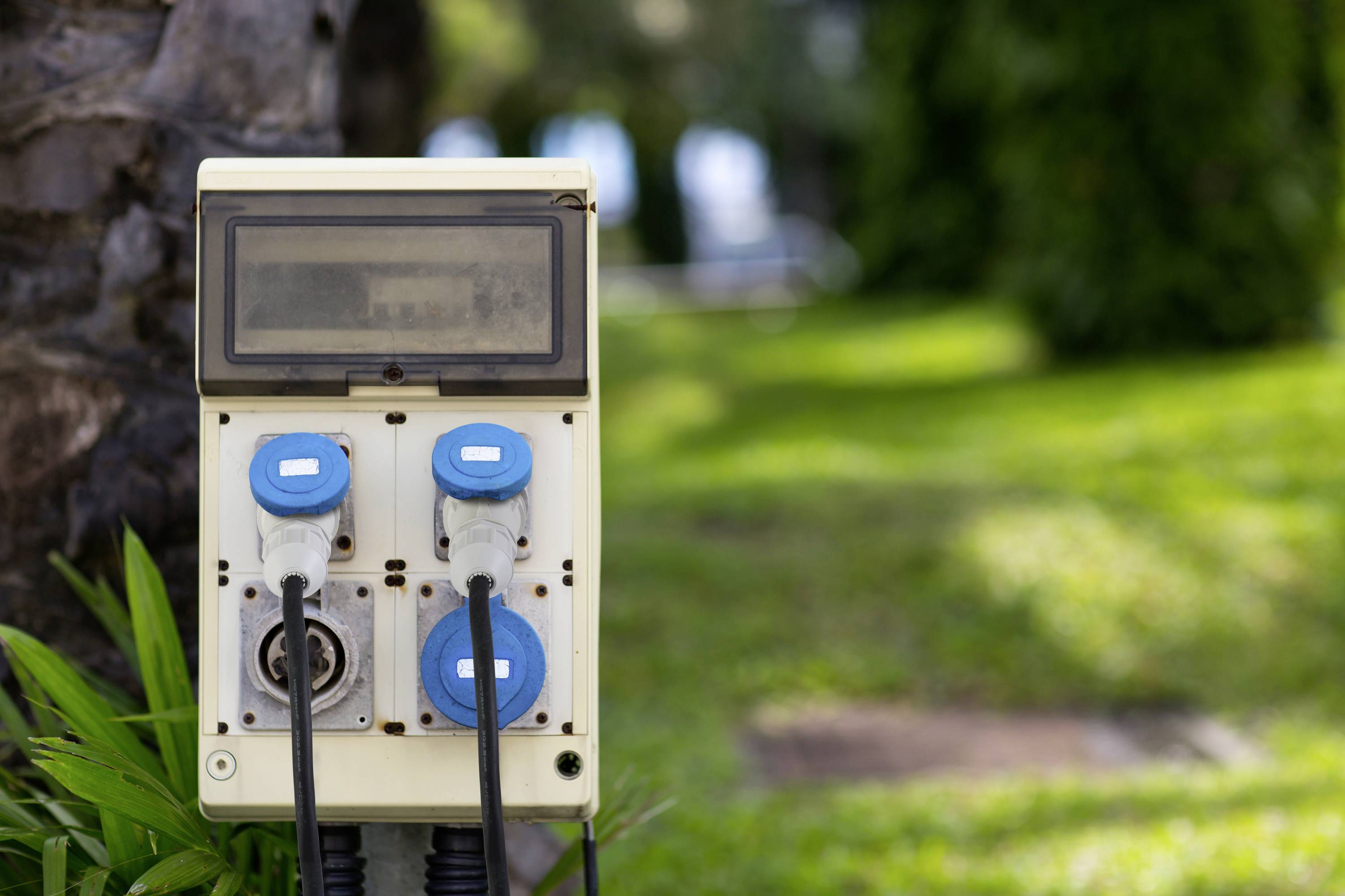 An electrical distribution box with four blue sockets stands outdoors in a green, grass-covered environment.