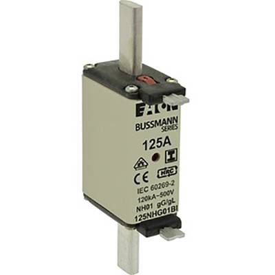 A rectangular NH fuse rated at 125A. 'EATON Bussmann Series' is printed on the top. Markings indicate technical specifications and certifications.