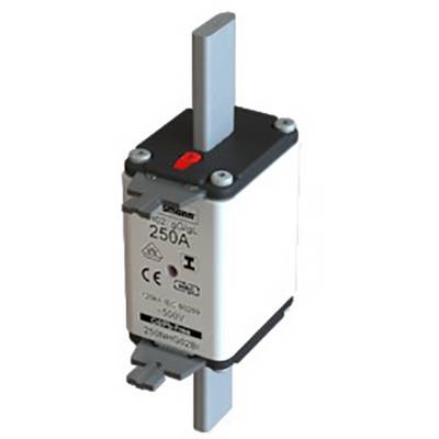 Fuse deployment with 250A rated current and 690V rated voltage, suitable for industrial applications. The red indicator shows 'Tripped'.