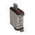 A 100A NH fuse from Bussmann.