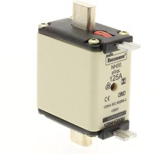 A BS Bussmann gG 125A safety fuse, suitable for low-voltage applications up to 500V and 120kA.