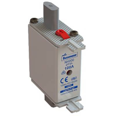An NH fuse with a current rating of 100 A, manufacturer's logo and CE marking clearly visible on the front side.