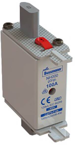NH000 GfK brand fuse, 100A, with CE marking, two connection points and a red identification strip at the top.