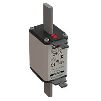 An electrical fuse insert with the marking '250A' and CE mark; used to protect against overcurrent in electrical circuits.